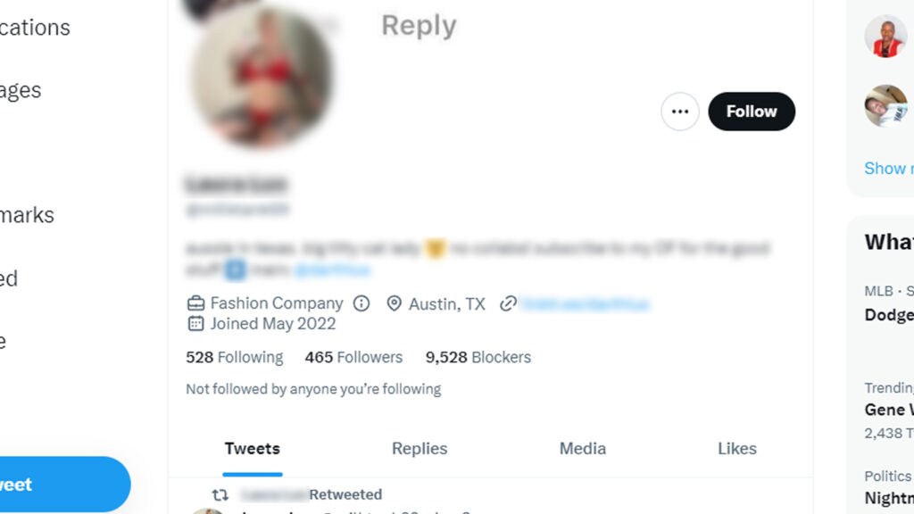 Simple Twitter Feature - Show Number of Blocks | Tavres.com